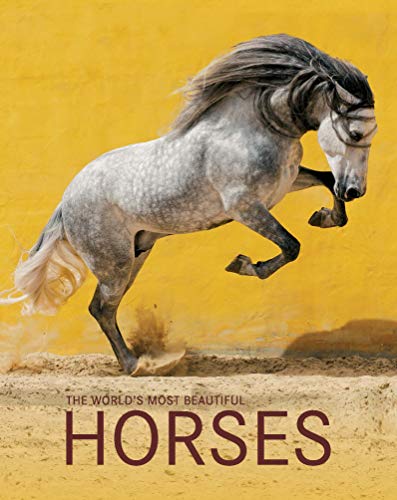 Stock image for The World's Most Beautiful Horses for sale by ThriftBooks-Dallas