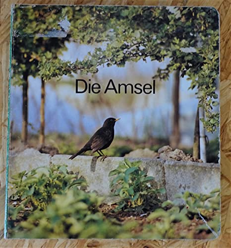 Die Amsel - Otto, Gunther;