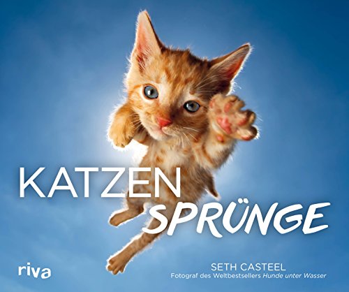 Stock image for Katzensprnge for sale by medimops