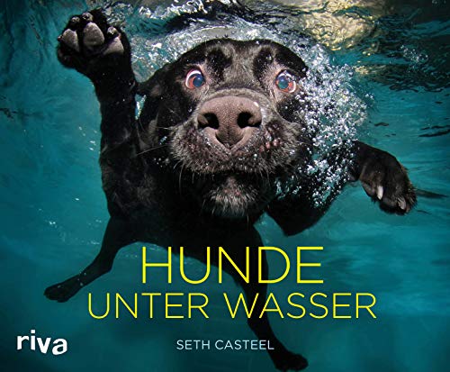 Stock image for Hunde unter Wasser -Language: german for sale by GreatBookPrices
