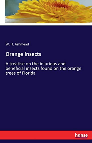 Beispielbild fr Orange Insects:A treatise on the injurious and beneficial insects found on the orange trees of Florida zum Verkauf von Ria Christie Collections