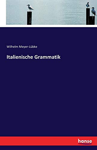 Stock image for Italienische Grammatik for sale by Ria Christie Collections