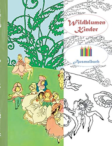 Beispielbild fr Wildblumen Kinder (Ausmalbuch): Ausmalbuch fr Erwachsene, Klassiker, Vintage, Old fashion, Malen, Frben, Kolorieren, Ausmalen, Zeichnen, Freizeit, . Blumen, Mrchen, Fa (German Edition) zum Verkauf von Lucky's Textbooks