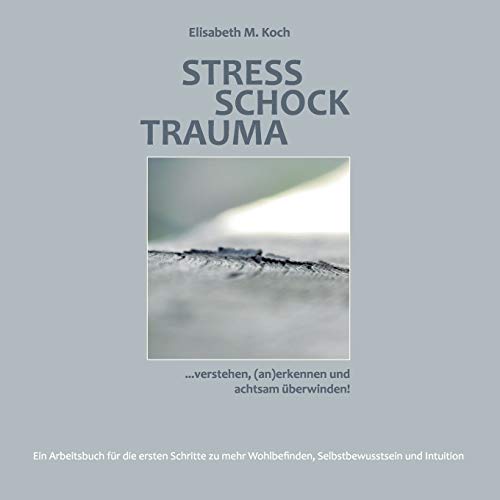 9783743180925: Stress Schock Trauma ... verstehen, (an)erkennen und achtsam berwinden: Ein Arbeitsbuch fr die ersten Schritte zu mehr Wohlbefinden, Selbstbewusstsein und Intuition