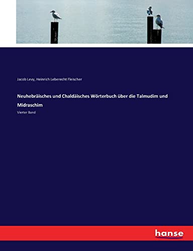 9783743495524: Neuhebrisches und Chaldisches Wrterbuch ber die Talmudim und Midraschim: Vierter Band