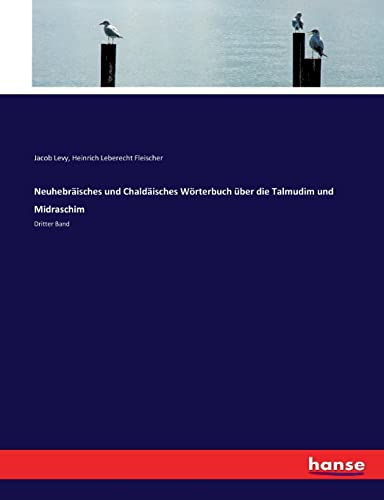 9783743495548: Neuhebrisches und Chaldisches Wrterbuch ber die Talmudim und Midraschim: Dritter Band