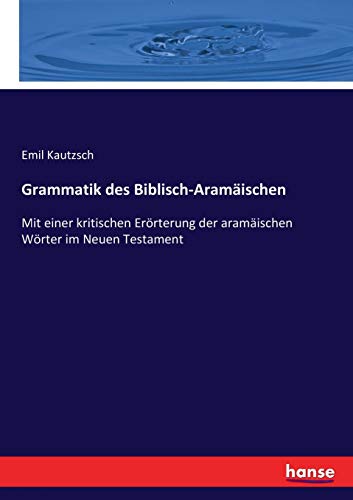 9783743496347: Grammatik des Biblisch-Aramischen: Mit einer kritischen Errterung der aramischen Wrter im Neuen Testament