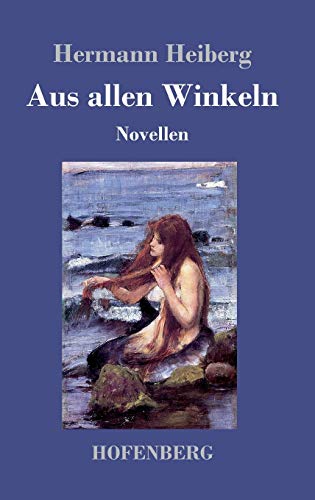 9783743709164: Aus allen Winkeln: Novellen (German Edition)