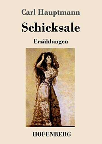 9783743709393: Schicksale: Erzhlungen