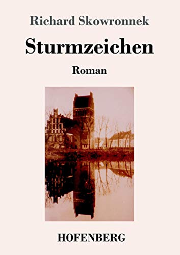 Stock image for Sturmzeichen: Roman (German Edition) for sale by Lucky's Textbooks