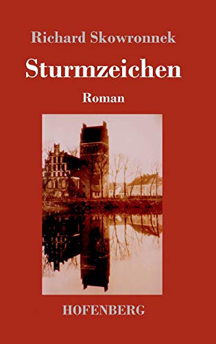 9783743709522: Sturmzeichen: Roman