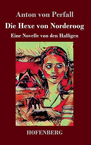 Imagen de archivo de Die Hexe von Norderoog: Eine Novelle von den Halligen (German Edition) a la venta por Lucky's Textbooks