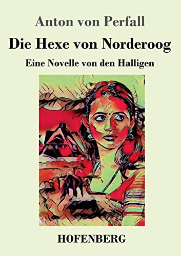 Imagen de archivo de Die Hexe von Norderoog: Eine Novelle von den Halligen (German Edition) a la venta por Lucky's Textbooks