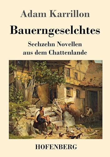 Imagen de archivo de Bauerngeselchtes: Sechzehn Novellen aus dem Chattenlande (German Edition) a la venta por Lucky's Textbooks