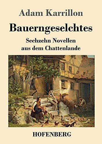 Stock image for Bauerngeselchtes: Sechzehn Novellen aus dem Chattenlande (German Edition) for sale by Lucky's Textbooks