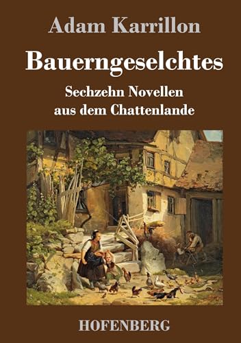 Imagen de archivo de Bauerngeselchtes: Sechzehn Novellen aus dem Chattenlande a la venta por Versandantiquariat Felix Mcke