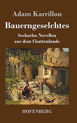 Stock image for Bauerngeselchtes: Sechzehn Novellen aus dem Chattenlande for sale by Versandantiquariat Felix Mcke