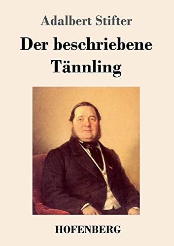 9783743736726: Der beschriebene Tnnling (German Edition)