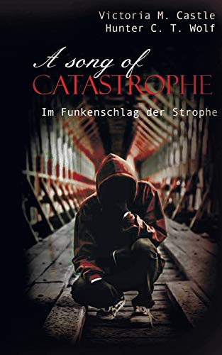 Stock image for A song of Catastrophe: Im Funkenschlag der Strophe for sale by medimops