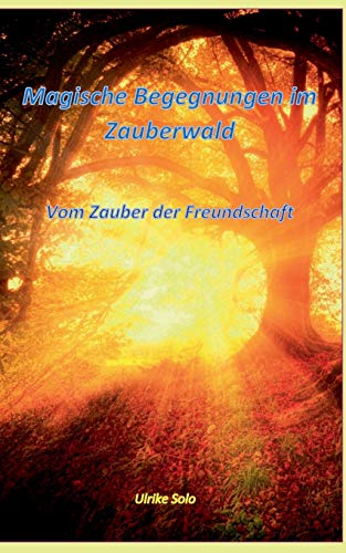 Stock image for Magische Begegnungen im Zauberwald:Vom Zauber der Freundschaft for sale by Blackwell's