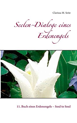 9783746048024: Seelen-Dialoge eines Erdenengels: 11. Buch eines Erdenengels - Soul to Soul (German Edition)