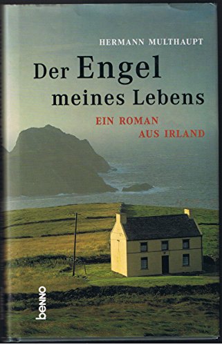 Stock image for Der Engel meines Lebens. Ein Roman aus Irland for sale by medimops