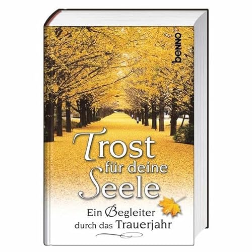 Stock image for Trost fr deine Seele: Ein Begleiter durch das Trauerjahr for sale by Der Bcher-Br