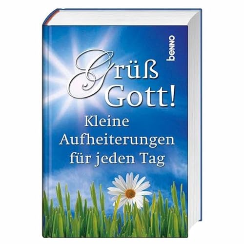 Imagen de archivo de Gr Gott!: Kleine Aufheiterungen fr jeden Tag a la venta por medimops