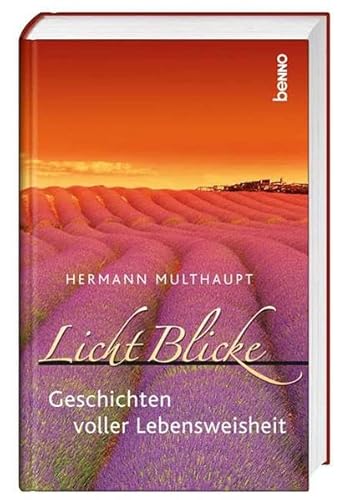 Stock image for Licht Blicke: Geschichten voller Weisheit for sale by medimops