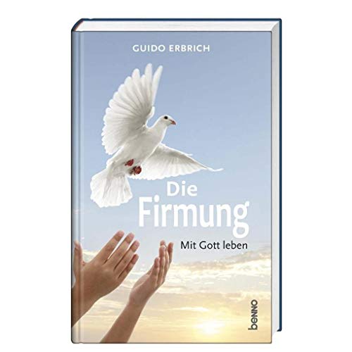 Stock image for Die Firmung: Mit Gott leben for sale by medimops