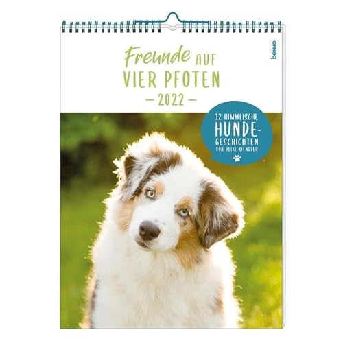 Stock image for Freunde auf vier Pfoten 2022: 12 himmlische Hunde-Geschichten for sale by medimops