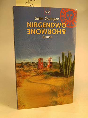 Stock image for Nirgendwo und Hormone. for sale by medimops