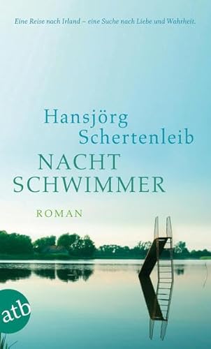 Beispielbild fr Nachtschwimmer : Roman zum Verkauf von Der Bcher-Br