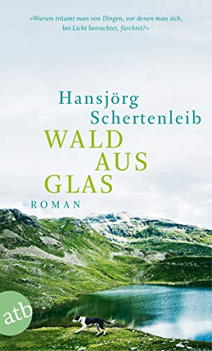 Beispielbild fr Wald aus Glas: Roman zum Verkauf von medimops