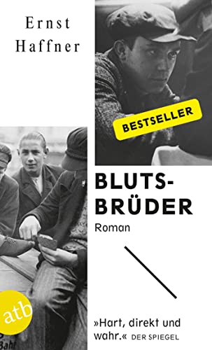 Beispielbild für Blutsbruder: Ein Berliner Cliquenroman zum Verkauf von WorldofBooks