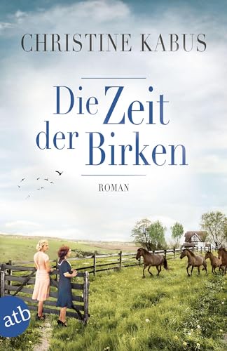 Stock image for Die Zeit der Birken: Roman for sale by medimops