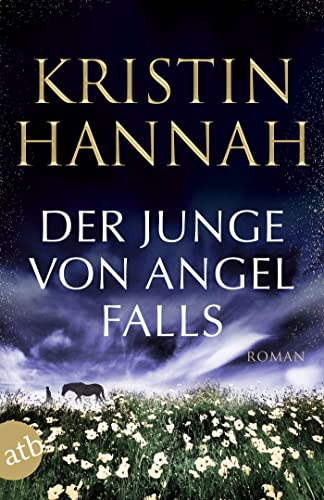 Stock image for Der Junge von Angel Falls: Wenn Engel schweigen for sale by Chiron Media