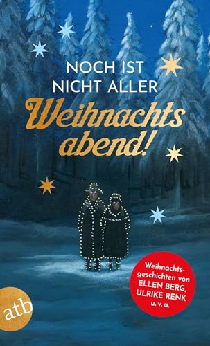 Stock image for Noch ist nicht aller Weihnachtsabend: Weihnachtsgeschichten von Ellen Berg, Ulrike Renk u. v. a. for sale by Revaluation Books
