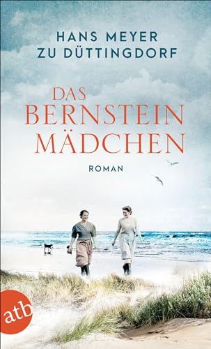 9783746637525: Das Bernsteinmdchen: Roman