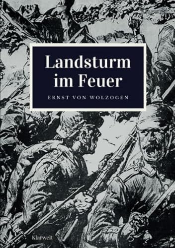 Stock image for Landsturm im Feuer for sale by Revaluation Books