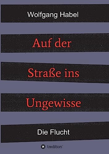 Stock image for Auf der Strae ins Ungewisse (German Edition) for sale by Lucky's Textbooks