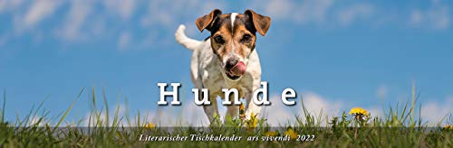 Stock image for Hunde 2022 Literarischer Tischkalender: Terminplaner mit 53 Farbfotografien for sale by medimops