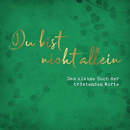 Imagen de archivo de Du bist nicht allein -Language: german a la venta por GreatBookPrices