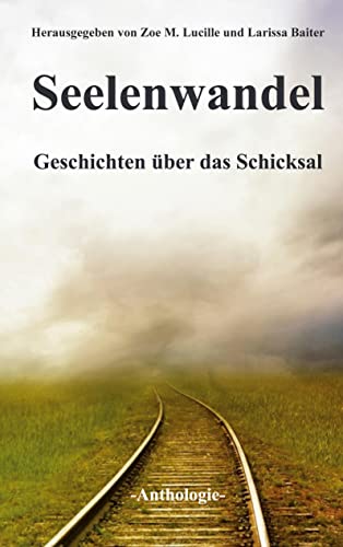 Stock image for Seelenwandel: Geschichten ber das Schicksal for sale by Revaluation Books