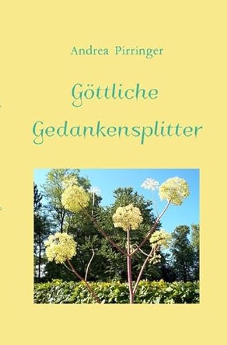 Stock image for Gttliche Gedankensplitter for sale by Revaluation Books
