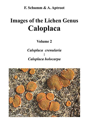 Stock image for Images of the Lichen Genus Caloplaca, Vol 2: Caloplaca crenularia, Caloplaca holocarpa for sale by Revaluation Books