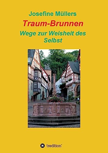 Stock image for TraumBrunnen Wege zur Weisheit des Selbst for sale by PBShop.store US