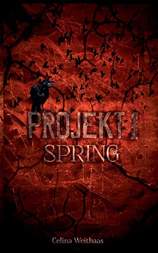 9783749768110: Projekt I: Spring