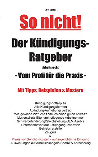 Stock image for So nicht! Der Kndigungs-Ratgeber Arbeitsrecht: Vom Profi fr die Praxis (German Edition) for sale by Lucky's Textbooks