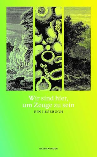 Stock image for Wir sind hier, um Zeuge zu sein for sale by GreatBookPrices